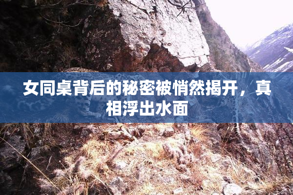 女同桌背后的秘密被悄然揭开，真相浮出水面