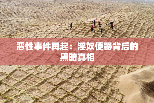 恶性事件再起：淫奴便器背后的黑暗真相