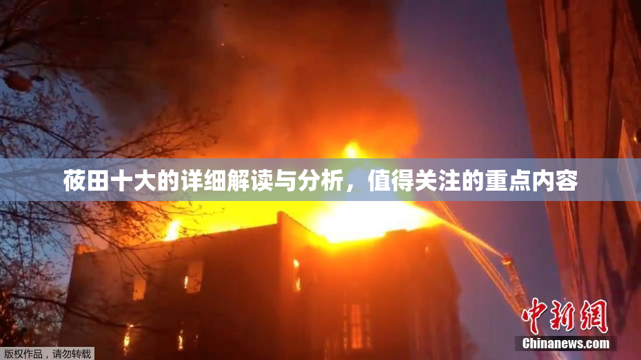 莜田十大的详细解读与分析，值得关注的重点内容
