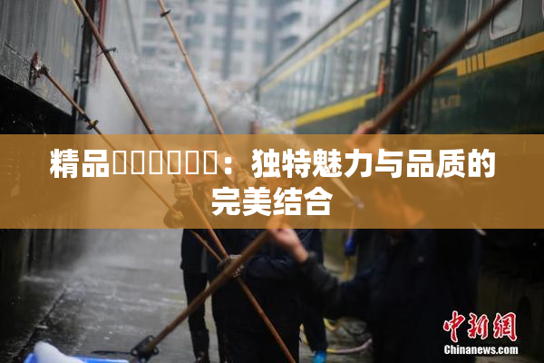 精品❌‌❌‌❌‌：独特魅力与品质的完美结合