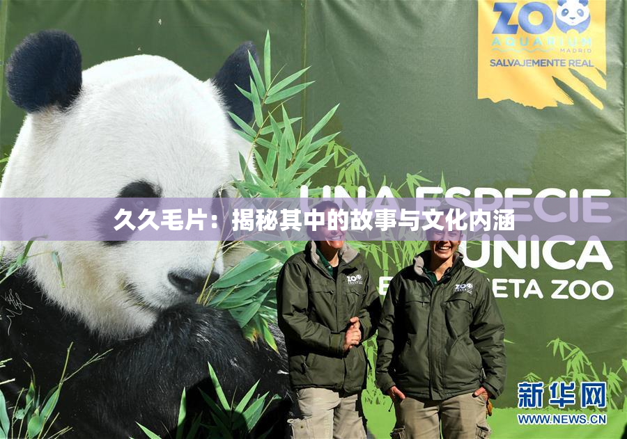 久久毛片：揭秘其中的故事与文化内涵