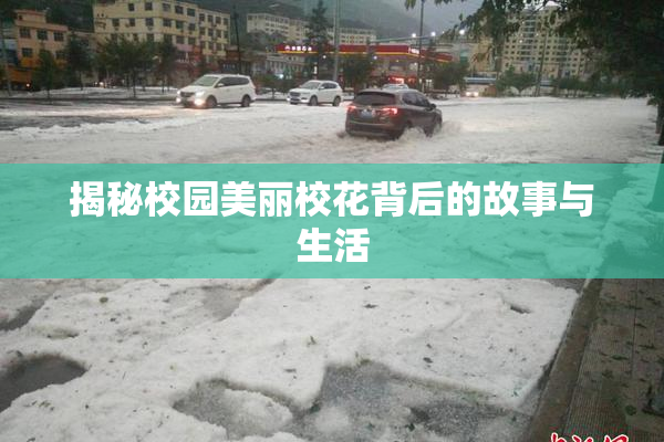 揭秘校园美丽校花背后的故事与生活