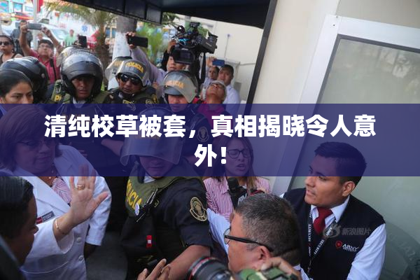 清纯校草被套，真相揭晓令人意外！