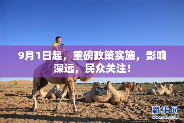 9月1日起，重磅政策实施，影响深远，民众关注！