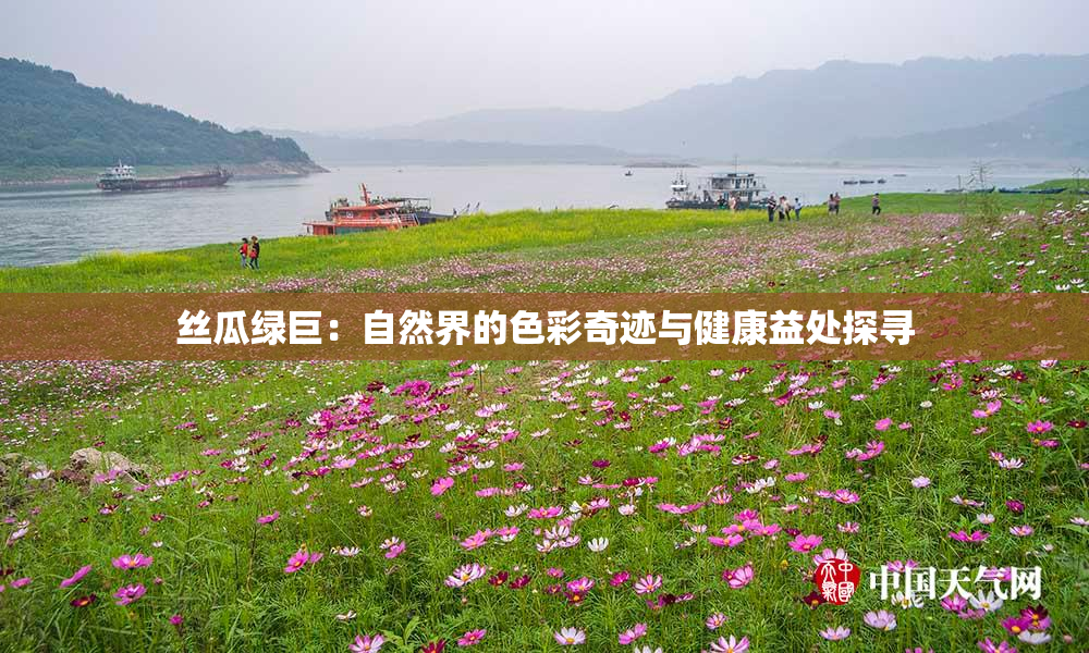 丝瓜绿巨：自然界的色彩奇迹与健康益处探寻