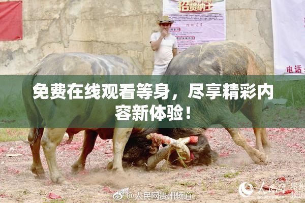 免费在线观看等身，尽享精彩内容新体验！