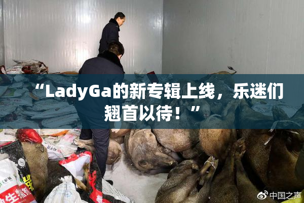 “LadyGa的新专辑上线，乐迷们翘首以待！”