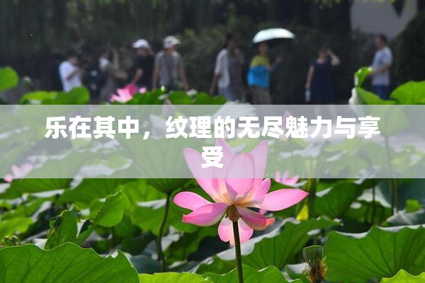 乐在其中，纹理的无尽魅力与享受