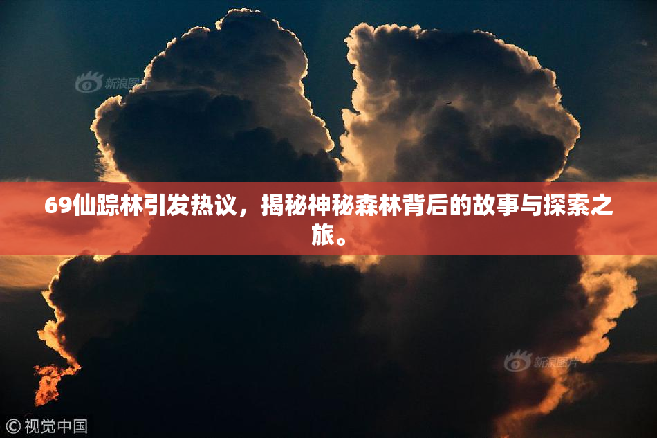 69仙踪林引发热议，揭秘神秘森林背后的故事与探索之旅。