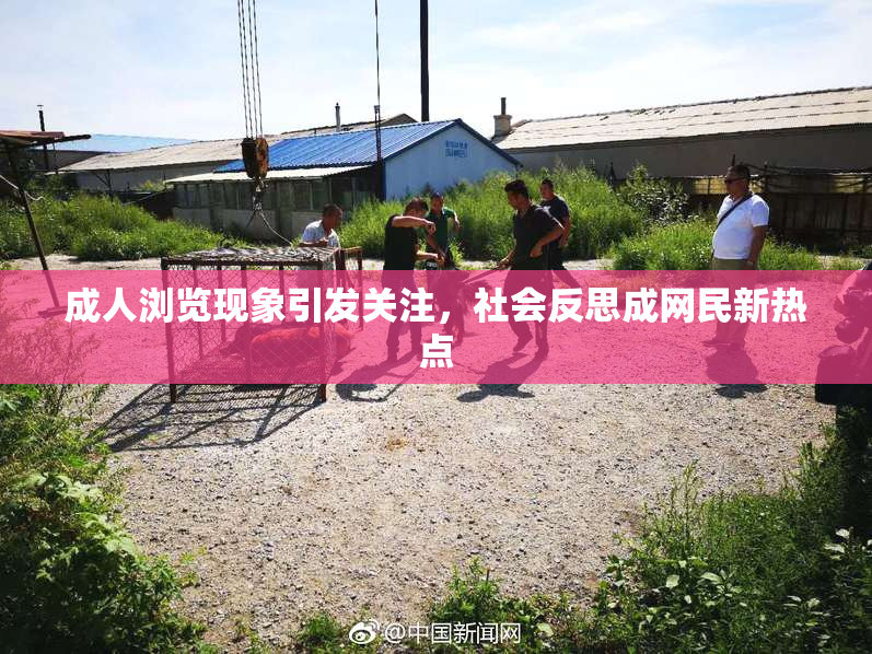 成人浏览现象引发关注，社会反思成网民新热点