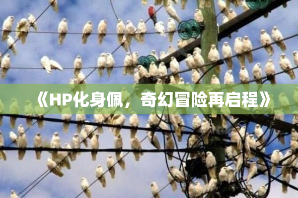 《HP化身佩，奇幻冒险再启程》