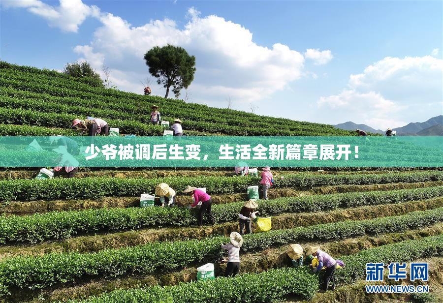 少爷被调后生变，生活全新篇章展开！