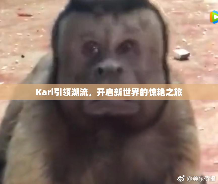 Kari引领潮流，开启新世界的惊艳之旅