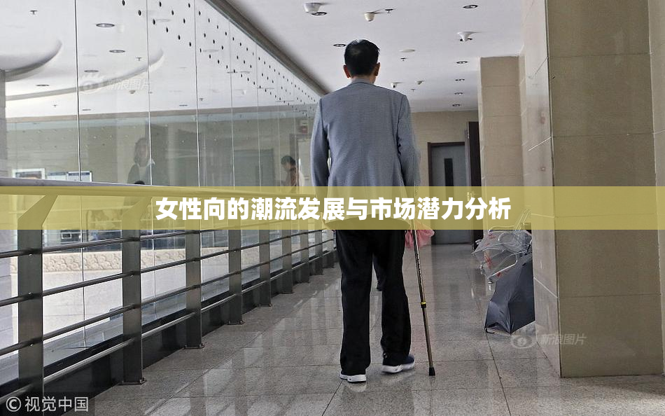 女性向的潮流发展与市场潜力分析