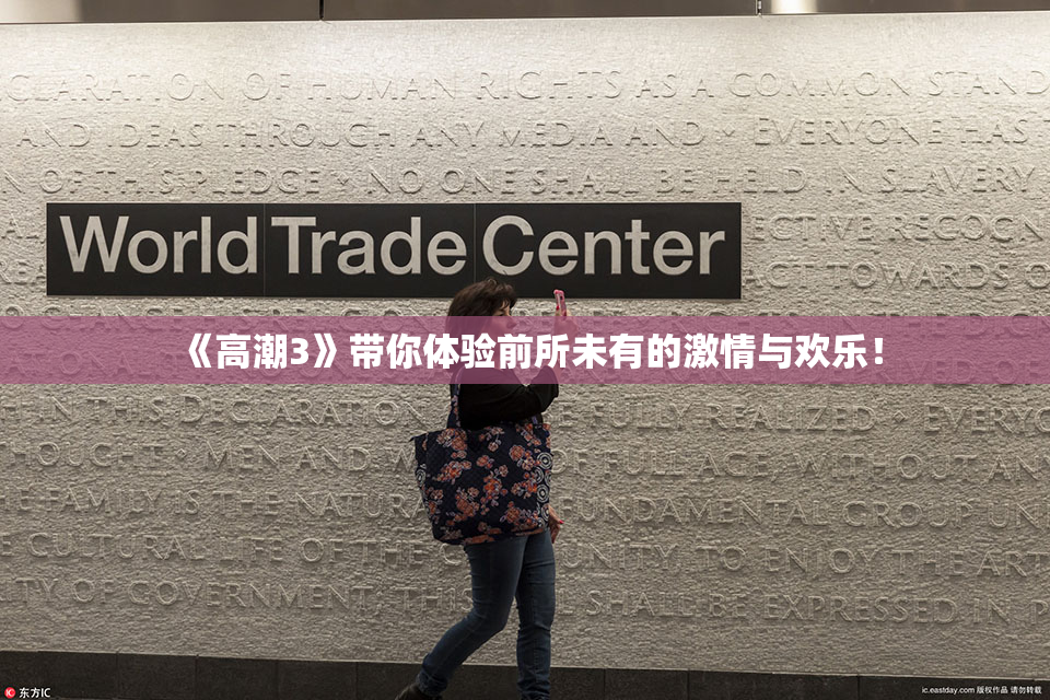 《高潮3》带你体验前所未有的激情与欢乐！