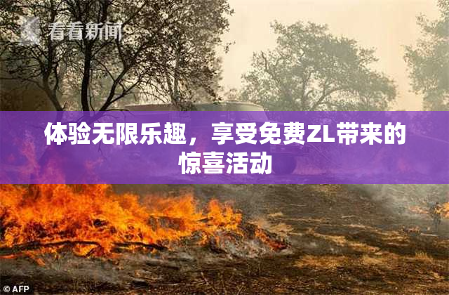 体验无限乐趣，享受免费ZL带来的惊喜活动
