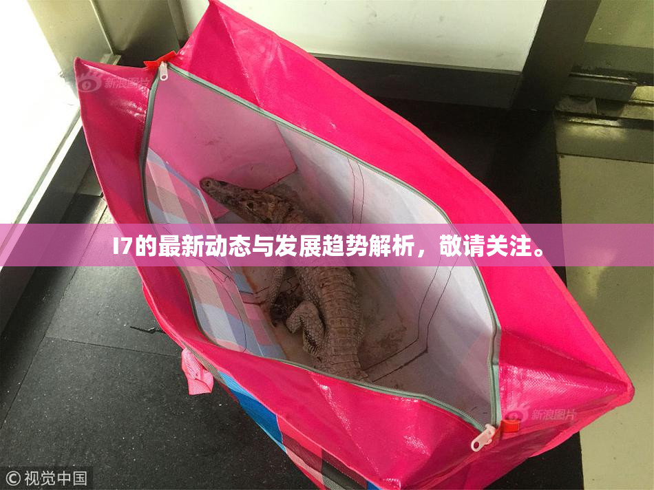 I7的最新动态与发展趋势解析，敬请关注。