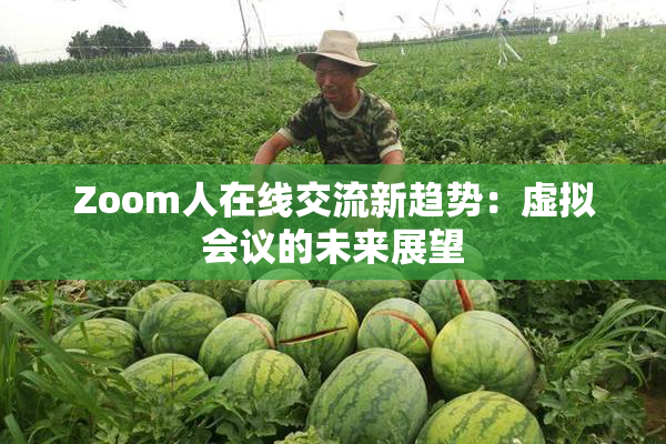 Zoom人在线交流新趋势：虚拟会议的未来展望