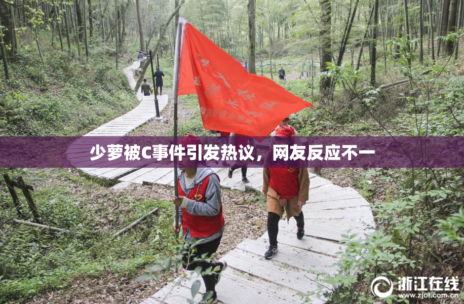 少萝被C事件引发热议，网友反应不一