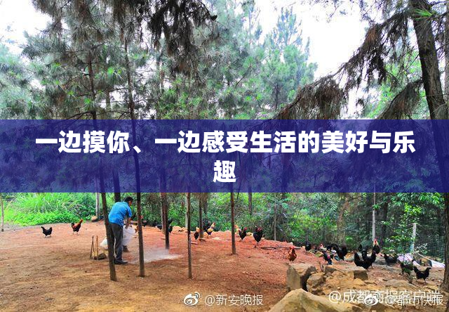 一边摸你、一边感受生活的美好与乐趣