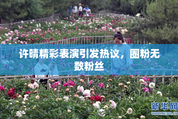 许晴精彩表演引发热议，圈粉无数粉丝