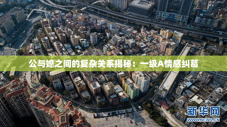 公与媳之间的复杂关系揭秘：一级A情感纠葛