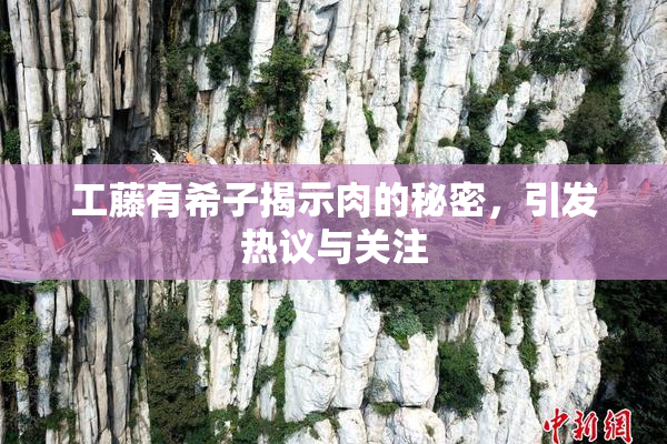 工藤有希子揭示肉的秘密，引发热议与关注