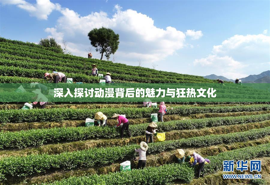 深入探讨动漫背后的魅力与狂热文化
