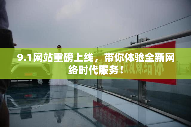 9.1网站重磅上线，带你体验全新网络时代服务！