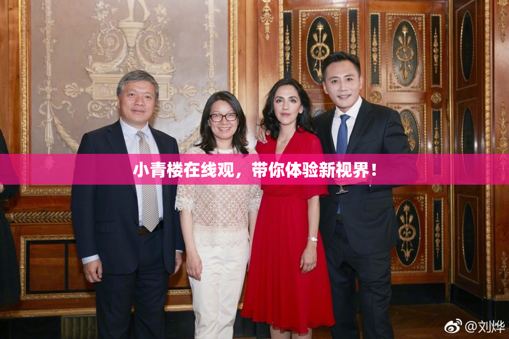 小青楼在线观，带你体验新视界！