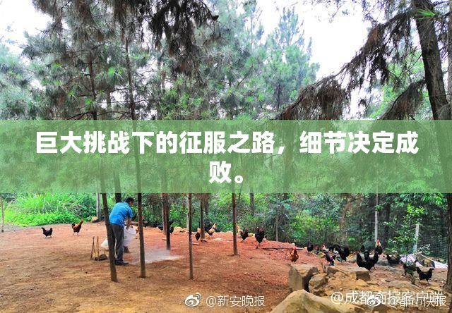 巨大挑战下的征服之路，细节决定成败。