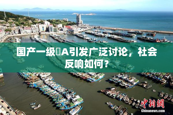 国产一级婬A引发广泛讨论，社会反响如何？