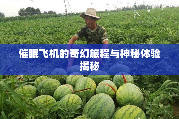 催眠飞机的奇幻旅程与神秘体验揭秘