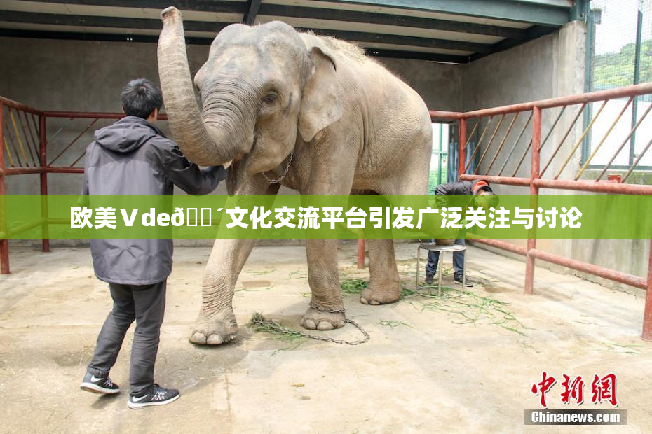 欧美Ⅴde🔴文化交流平台引发广泛关注与讨论