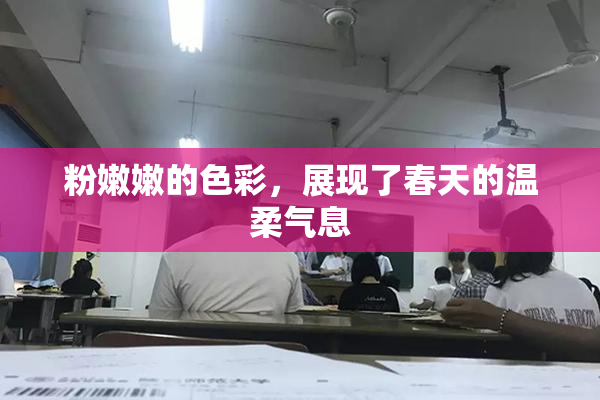粉嫩嫩的色彩，展现了春天的温柔气息