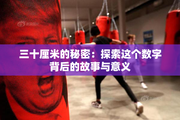 三十厘米的秘密：探索这个数字背后的故事与意义