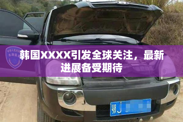 韩国XXXX引发全球关注，最新进展备受期待