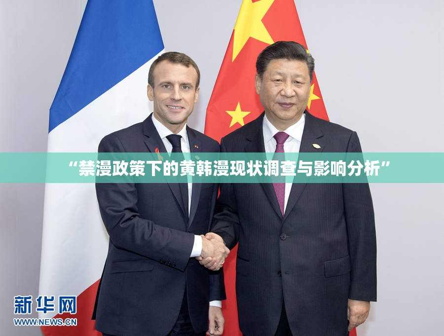 “禁漫政策下的黄韩漫现状调查与影响分析”