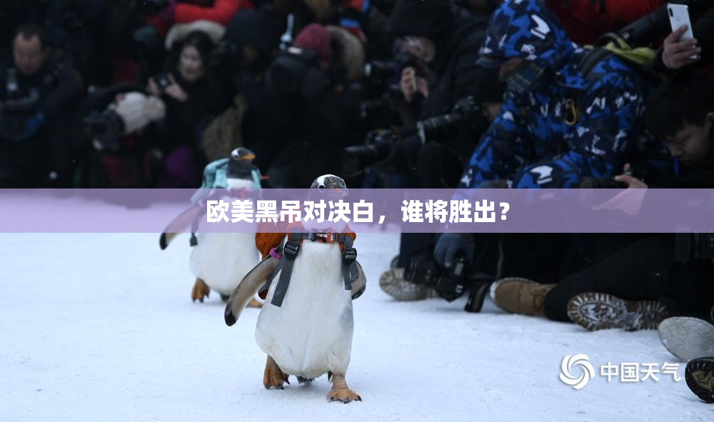 欧美黑吊对决白，谁将胜出？