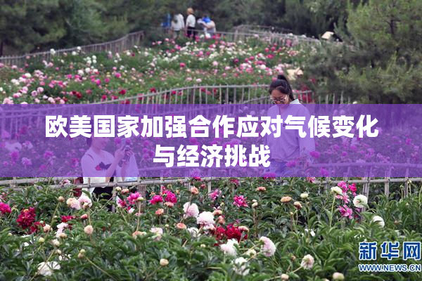 欧美国家加强合作应对气候变化与经济挑战
