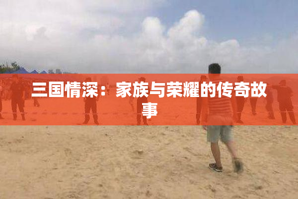 三国情深：家族与荣耀的传奇故事