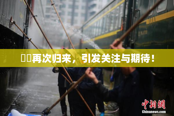 妺妺再次归来，引发关注与期待！