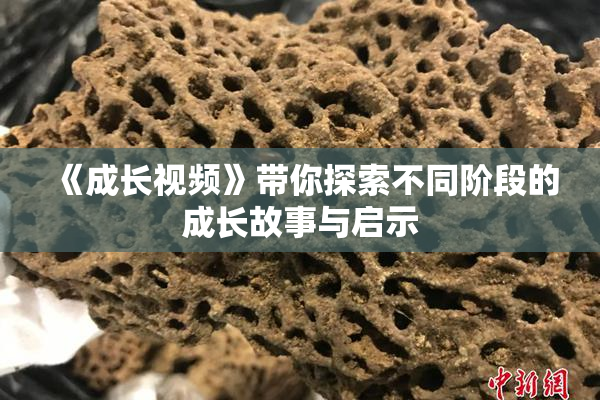 《成长视频》带你探索不同阶段的成长故事与启示