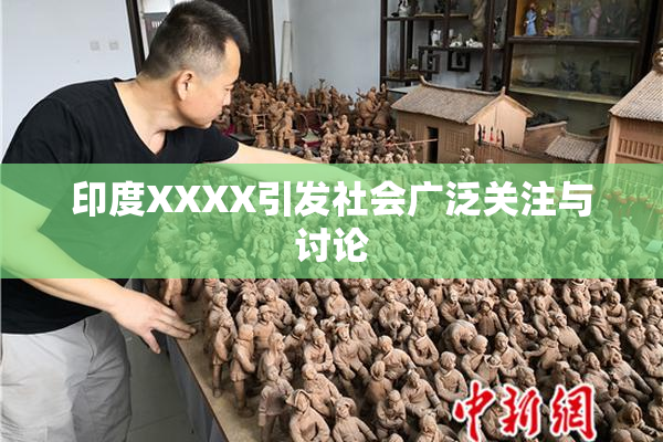 印度XXXX引发社会广泛关注与讨论