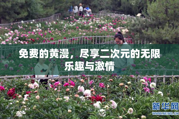 免费的黄漫，尽享二次元的无限乐趣与激情