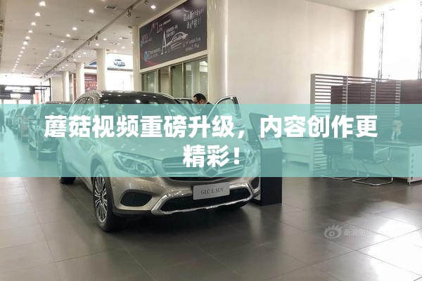 蘑菇视频重磅升级，内容创作更精彩！