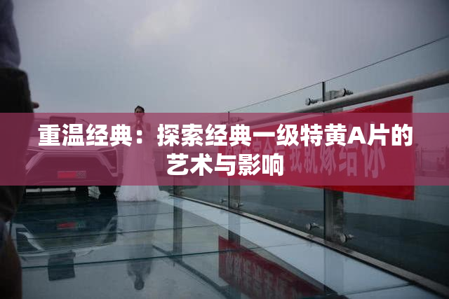 重温经典：探索经典一级特黄A片的艺术与影响