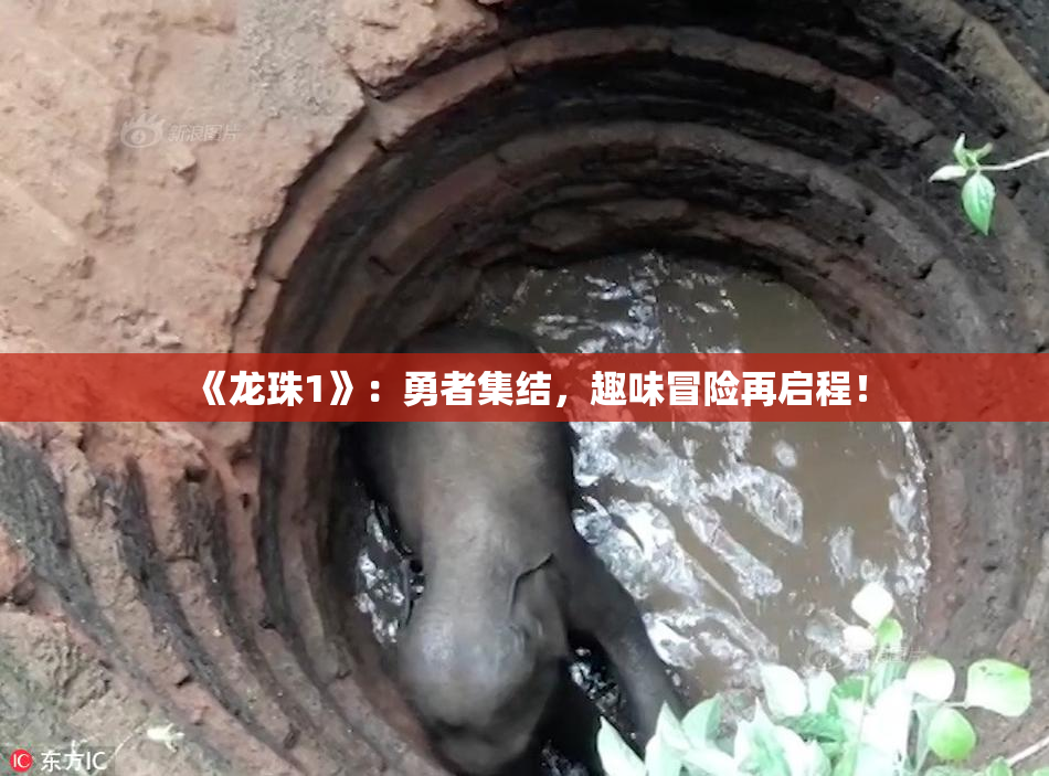《龙珠1》：勇者集结，趣味冒险再启程！