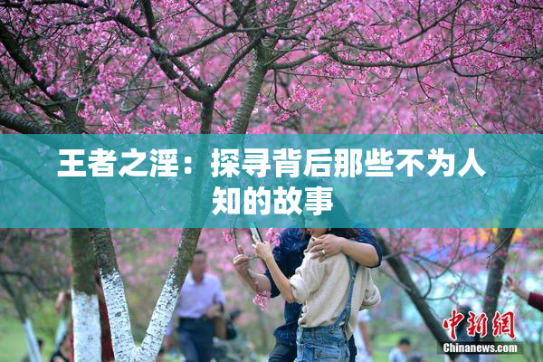 王者之淫：探寻背后那些不为人知的故事