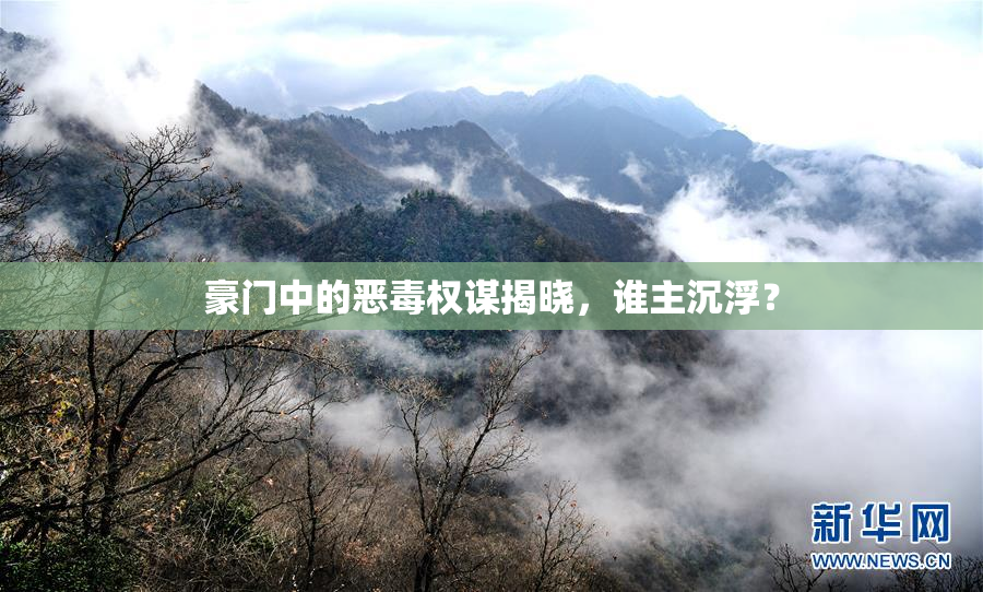 豪门中的恶毒权谋揭晓，谁主沉浮？